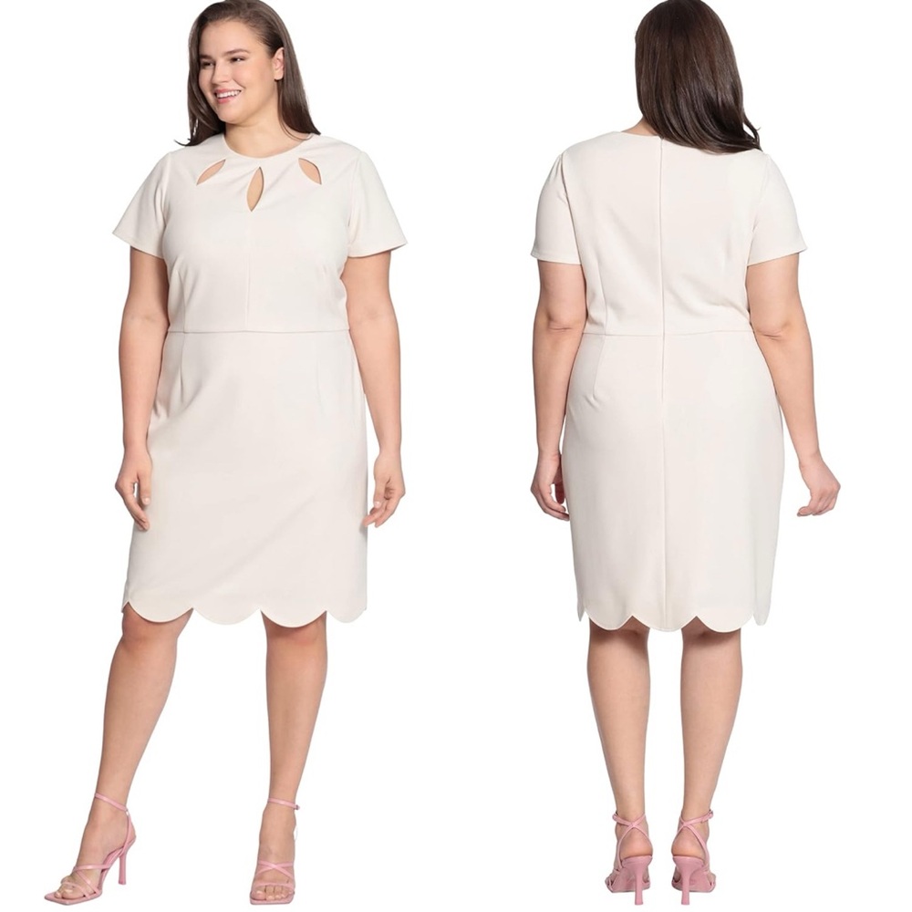🍒Maggy London Keyhole neck scuba crepe sheath /Horn Scalloped  size 16 NWT…
